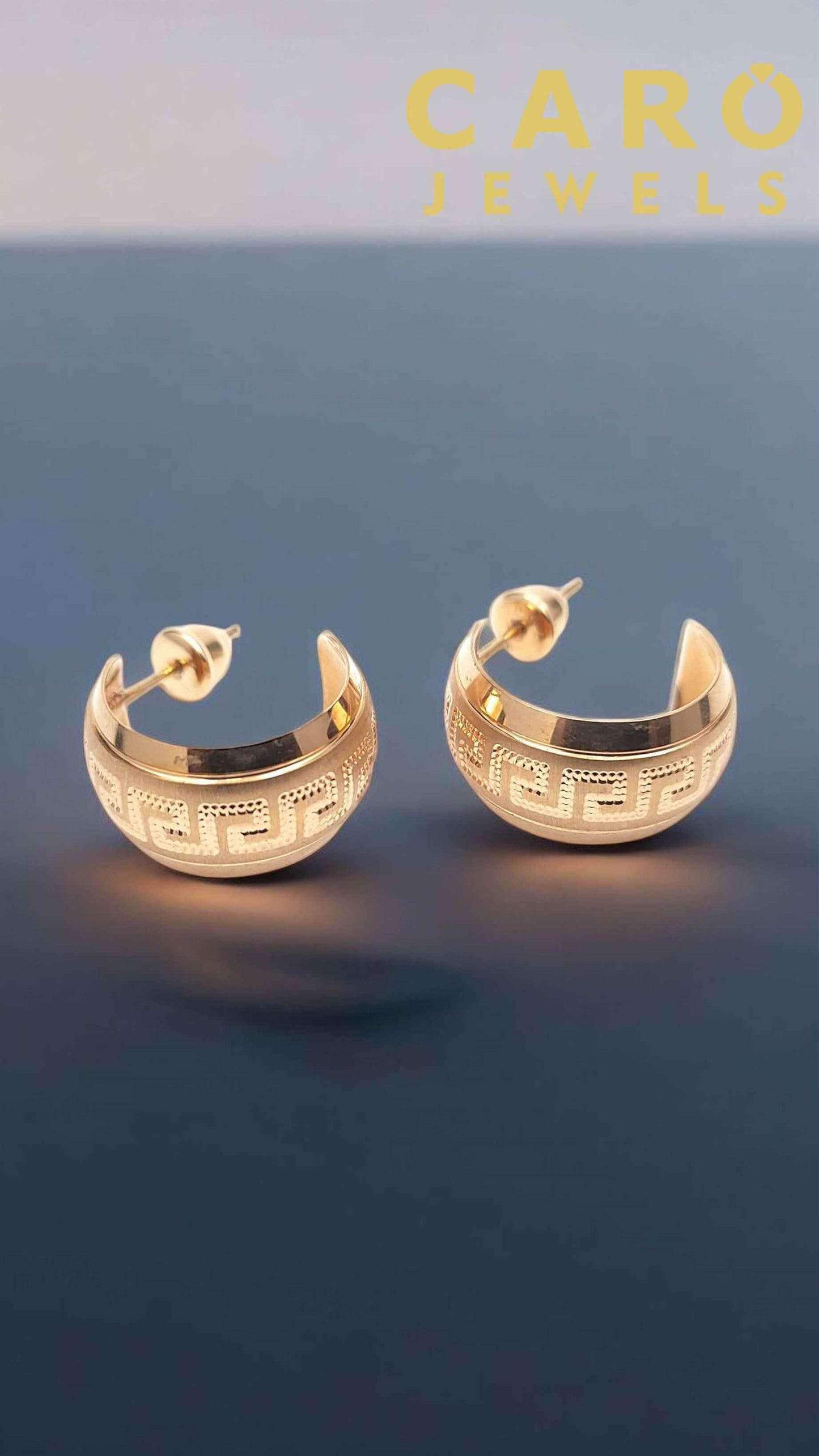 Earring ERG00146