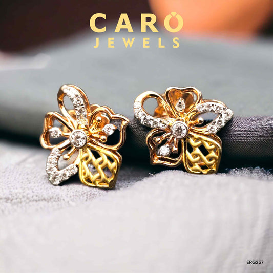 Earring ERG00257