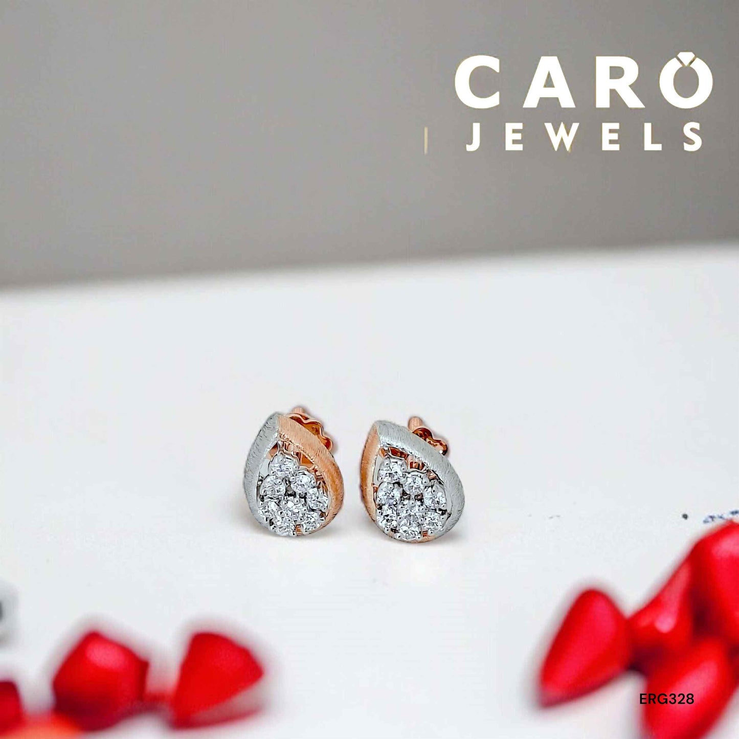 Earring ERG00328