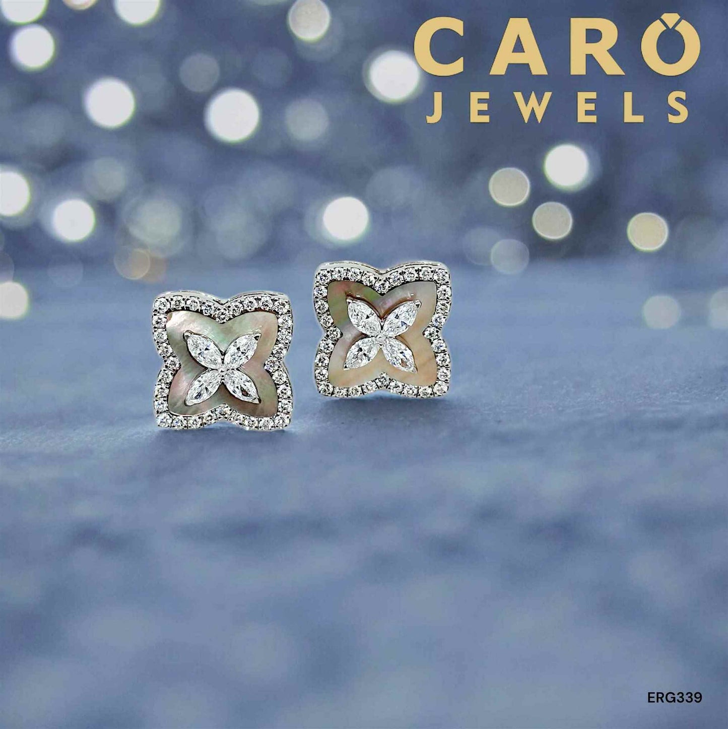 Earring ERG00339