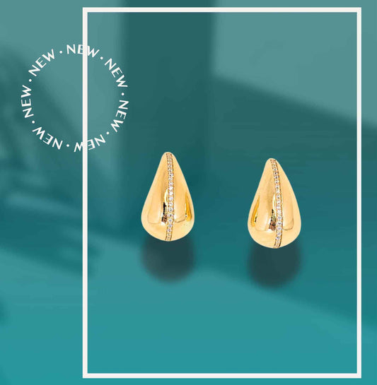 Earring ERG00391
