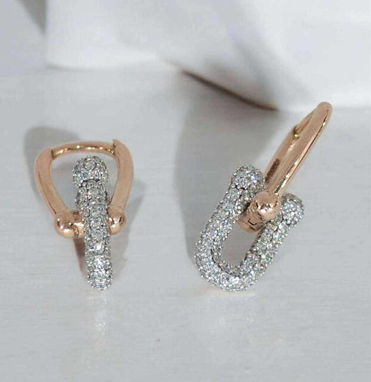 Earring ERG00465
