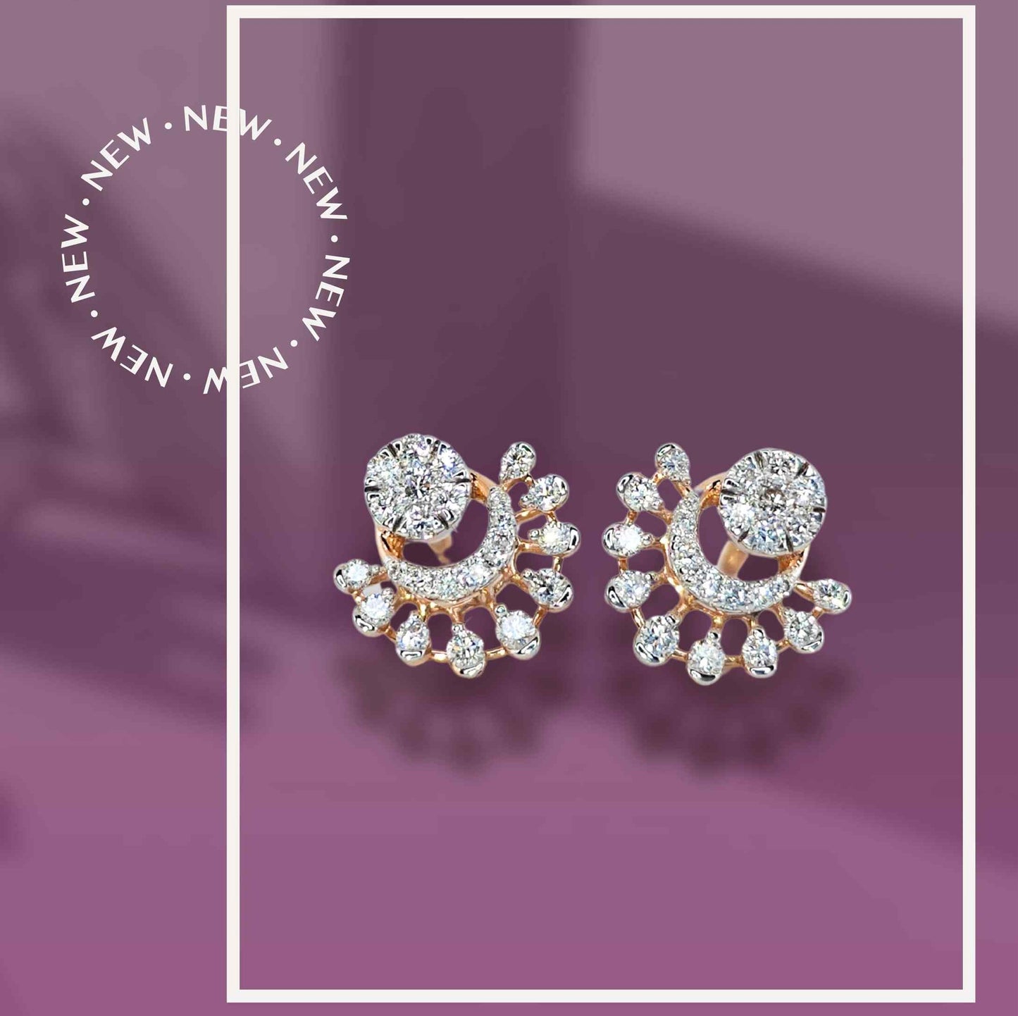 Earring ERG00498