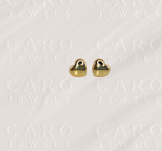Earring ERG00517