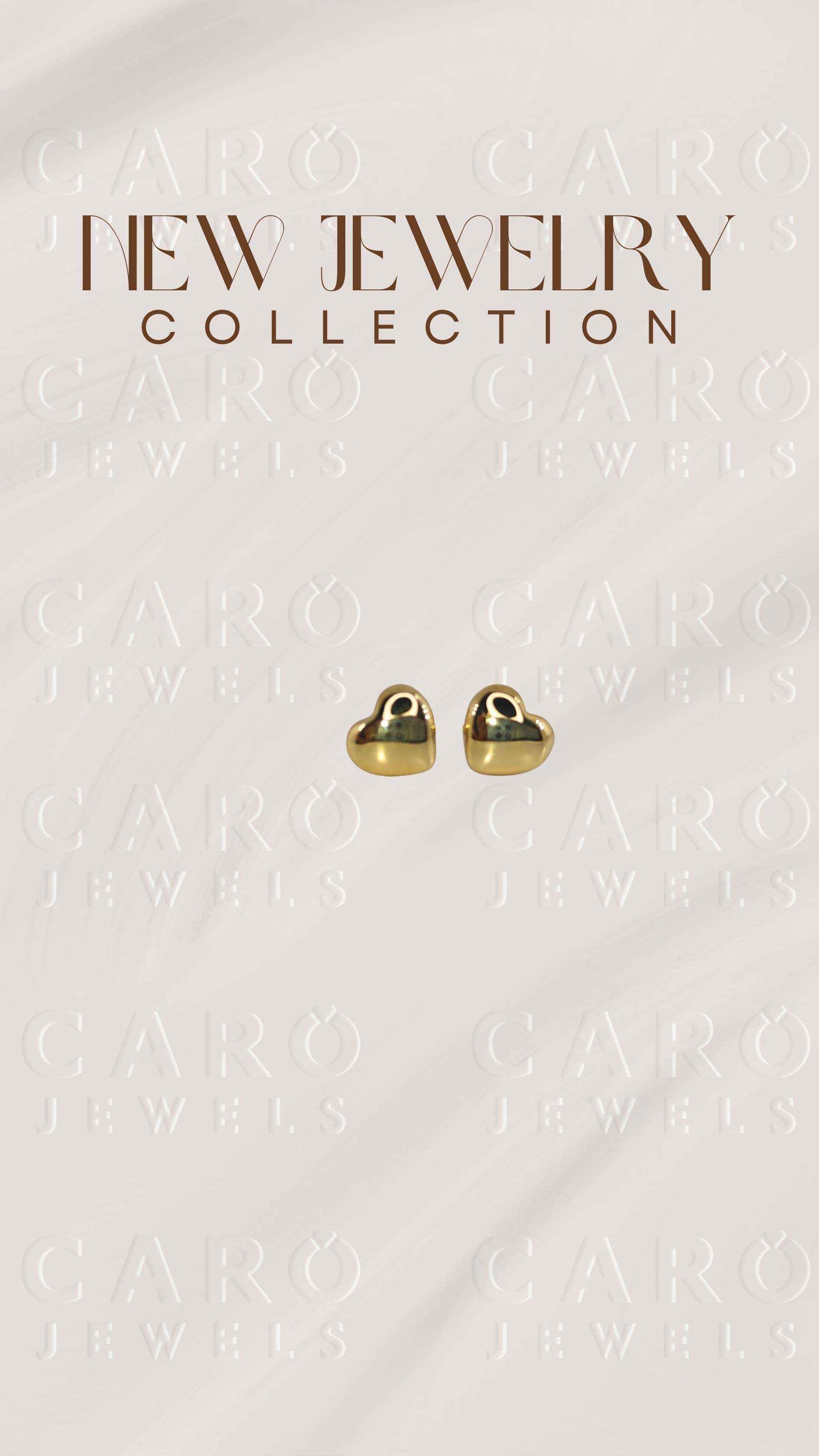 Earring ERG00517