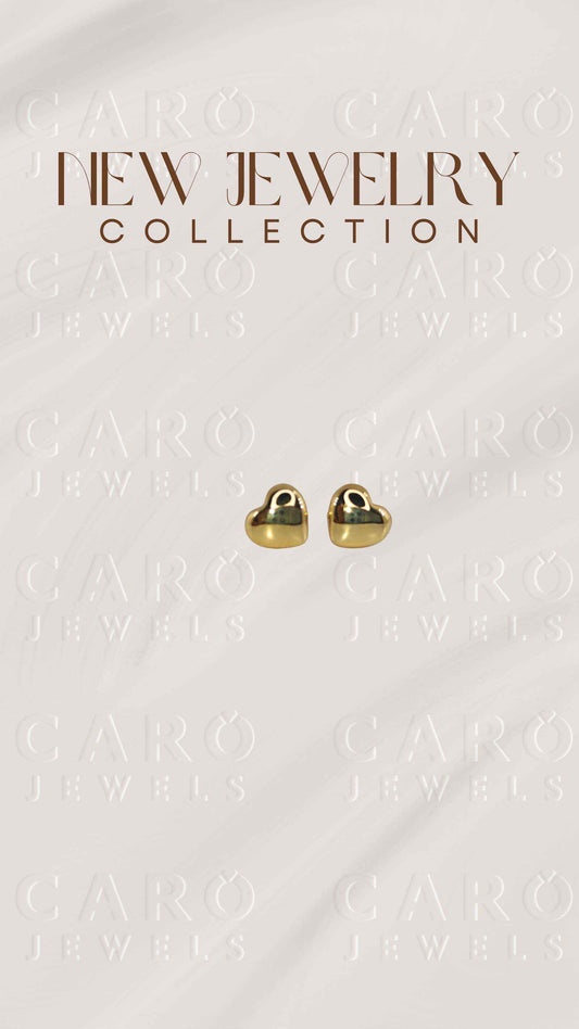 Earring ERG00517
