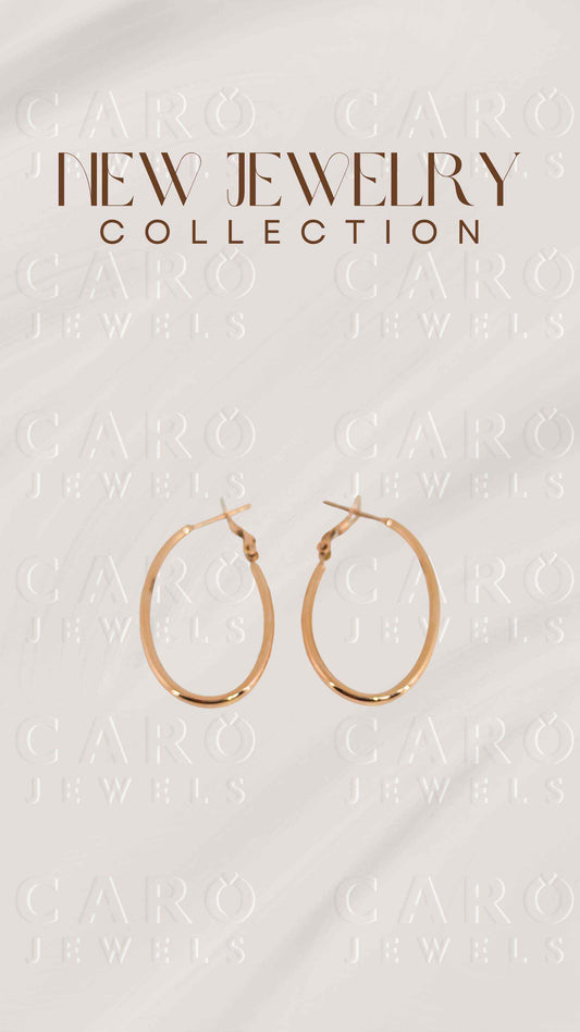 Earring ERG00523