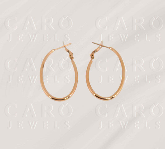Earring ERG00523
