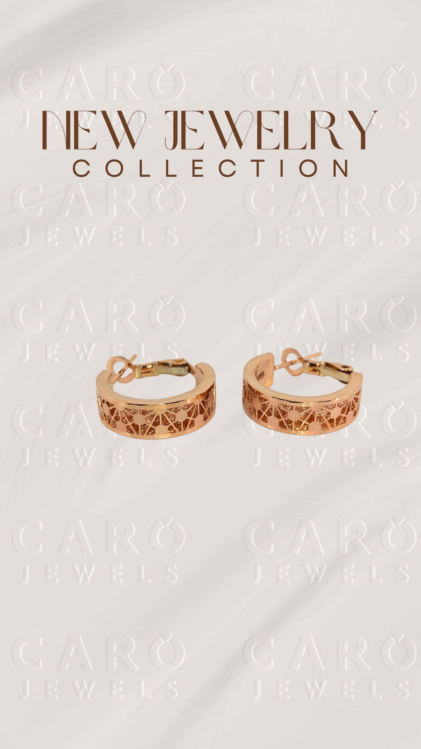Earring ERG00525