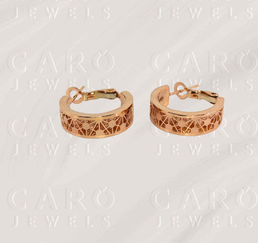 Earring ERG00525